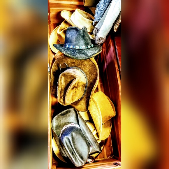 Meet your Posher, Serena - Picture 5 of 7